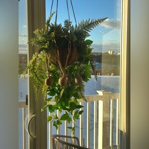 Jute plant hanger